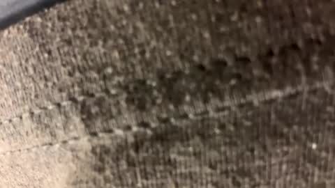 Snapshot of carl1616742489 chatting on 21, 4, 2026 Carl1616 online show from 21, 4, 2026