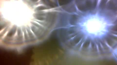 Snapshot of carlholmesjr20 chatting on 4, 12, 2025 carlholmesjr20 online show from 4, 12, 2025