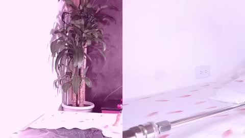 Snapshot of carol_swet chatting on 7, 4, 2026 Carol online show from 7, 4, 2026