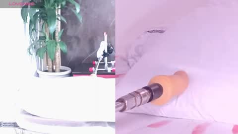 Snapshot of carol_swet chatting on 16, 4, 2026 Carol online show from 16, 4, 2026