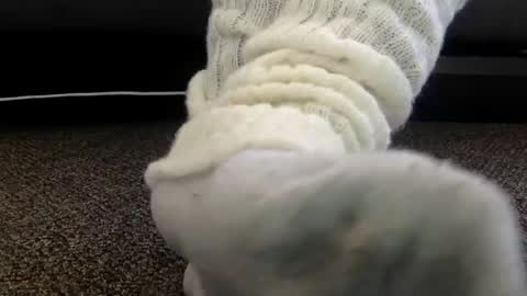 cash13bychanel online show from 4, 12, 2025