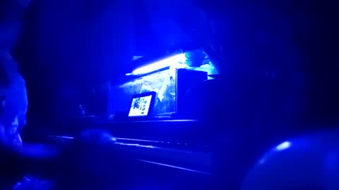 cassandra1369 online show from 25, 9, 2025