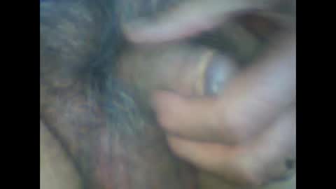 castells online show from 15, 3, 2026