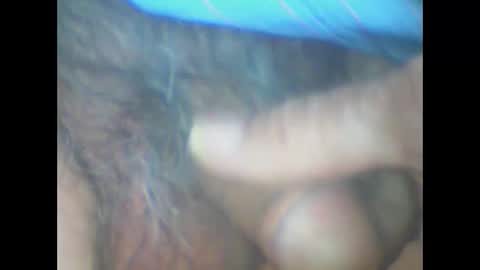 castells online show from 4, 4, 2026