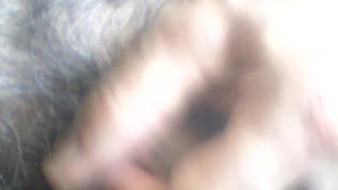 Snapshot of castells chatting on 24, 6, 2026 castells online show from 24, 6, 2026