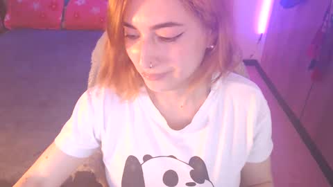 cat naughty online show from 24, 2, 2025