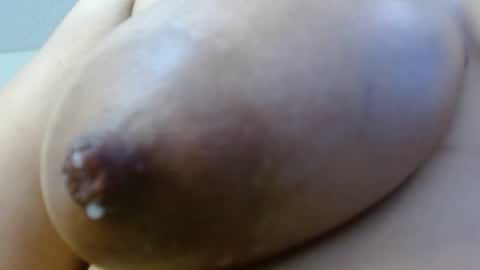 Cata  online show from 29, 12, 2024