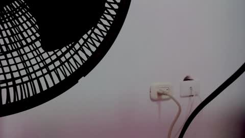 catalaia_stomm online show from 17, 1, 2025