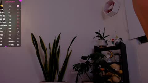 Snapshot of catalella_01 chatting on 6, 1, 2025 MACARENA online show from 6, 1, 2025