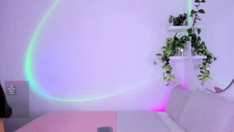      online show from 12, 9, 2025