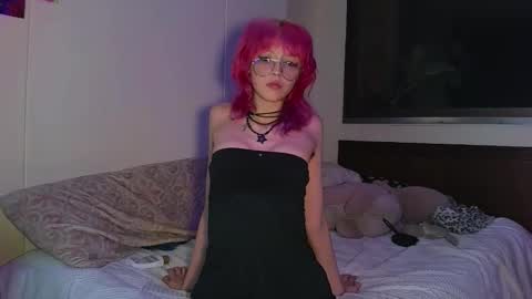 Cat online show from 14, 11, 2025