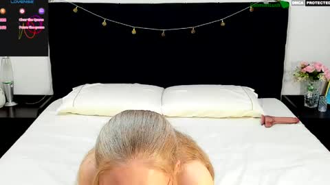 CatmintLush online show from 16, 5, 2026