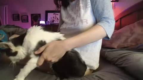 some call me djcatnips some call me CC but i love it when you call me miss catnips  online show from 10, 7, 2026