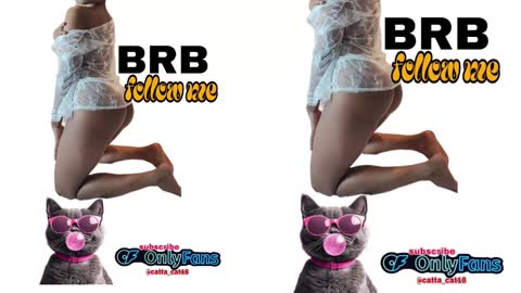 catta cat18 online show from 23, 2, 2025