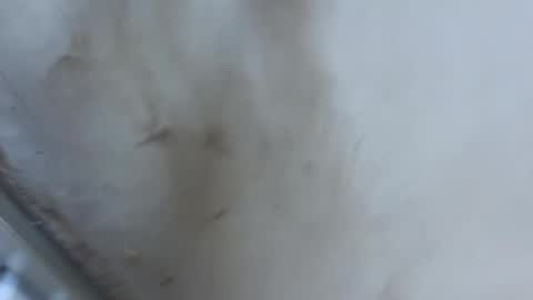 Snapshot of ccwwa01 chatting on 8, 5, 2026 ccwwa01 online show from 8, 5, 2026