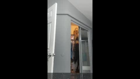 Snapshot of cdlisaann chatting on 15, 3, 2026 cdlisaann online show from 15, 3, 2026