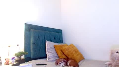 Cedrixx10 online show from 14, 3, 2026