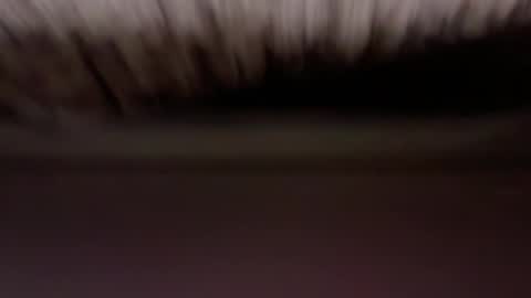 Snapshot of cenobitfor chatting on 6, 3, 2026 cenobitfor online show from 6, 3, 2026