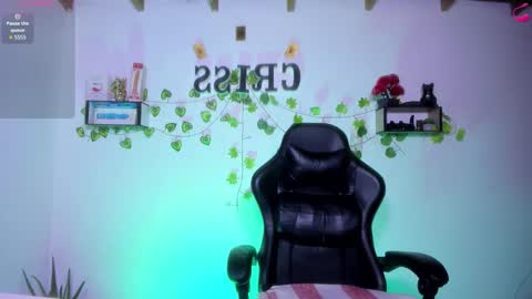 Snapshot of cfiscm chatting on 13, 2, 2026 NAMOR online show from 13, 2, 2026