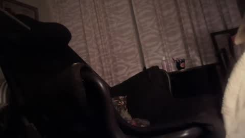 cfnmfriendly online show from 23, 10, 2025