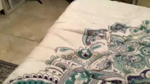 Snapshot of charliebroun chatting on 18, 2, 2025 charliebroun online show from 18, 2, 2025