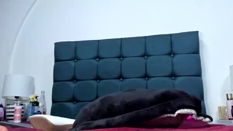 Snapshot of charlott_lens chatting on 11, 3, 2025 Charlott online show from 11, 3, 2025