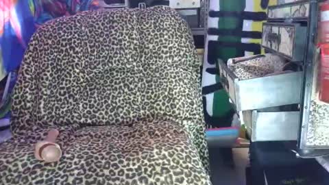 Snapshot of chase_xxxxnx chatting on 7, 3, 2026 Sah009XXX online show from 7, 3, 2026