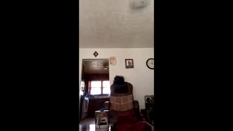 Snapshot of cheeze111 chatting on 2, 5, 2026 cheeze111 online show from 2, 5, 2026