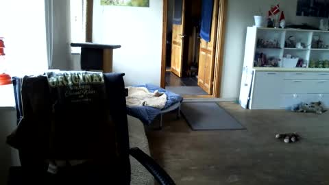 chefben666 online show from 15, 4, 2026