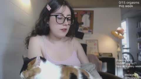 Snapshot of cherrybunny21 chatting on 26, 4, 2026 Sarah Prez online show from 26, 4, 2026