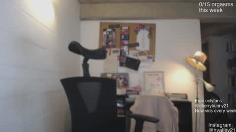 Snapshot of cherrybunny21 chatting on 28, 4, 2026 Sarah Prez online show from 28, 4, 2026