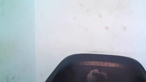 Snapshot of cherryxpussy chatting on 3, 5, 2026 cherryxpussy online show from 3, 5, 2026