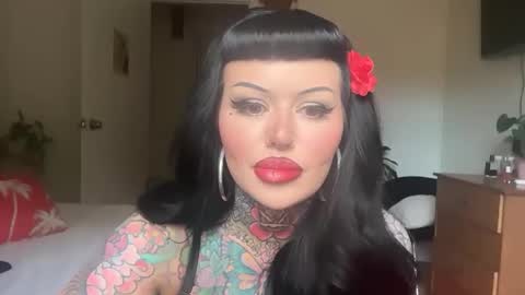 Chickhabit66 online show from 7, 11, 2025