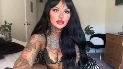 Chickhabit66 online show from 12, 3, 2026