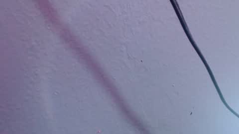 Snapshot of chloe_prg chatting on 20, 12, 2024 chloe_prg online show from 20, 12, 2024