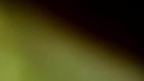 ChloeeThompson online show from 20, 9, 2025