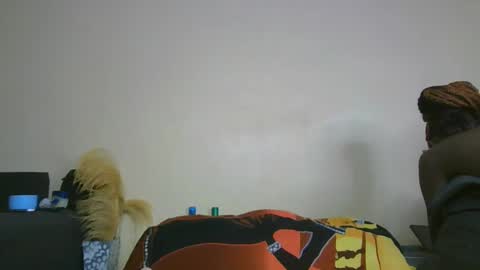 nei online show from 31, 1, 2025