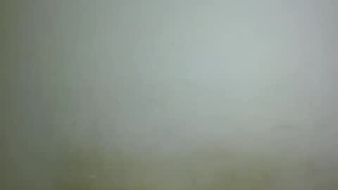 Snapshot of chocolatebony_ chatting on 22, 1, 2025 chocolatebony_ online show from 22, 1, 2025