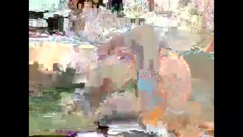 Snapshot of chocolateskin4 chatting on 18, 1, 2025 JANE online show from 18, 1, 2025