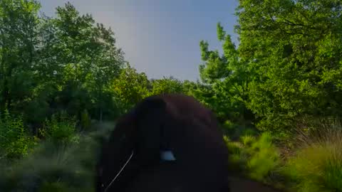 Snapshot of chris2024x chatting on 10, 11, 2025 Christian online show from 10, 11, 2025