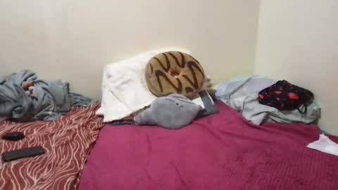 Snapshot of chris_jake1 chatting on 14, 3, 2026 chris_jake1 online show from 14, 3, 2026