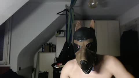 Snapshot of chrisdan_ chatting on 1, 11, 2025 chrisdan_ online show from 1, 11, 2025