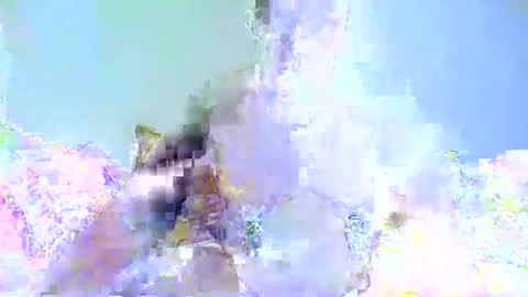 Snapshot of chrispainpig chatting on 7, 1, 2025 Chrispainpig torture bdsm masochist slave submissive hardcore anal CBT humiliation online show from 7, 1, 2025