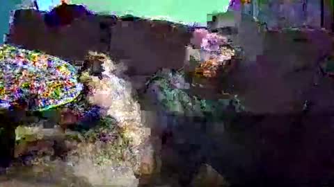 christopher1087 online show from 3, 3, 2026