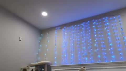 Christy Love online show from 29, 12, 2024