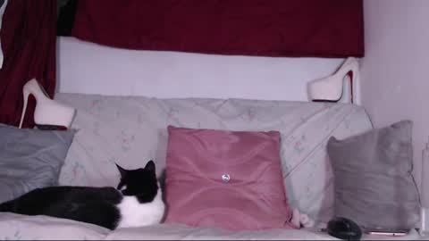 cicimom online show from 24, 1, 2025