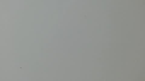 cinthia1609 online show from 11, 2, 2025