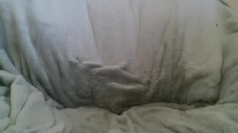 circumsizedbandit online show from 10, 2, 2025