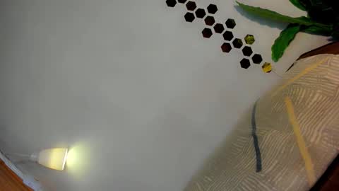 Snapshot of classy_bombshellxx chatting on 12, 1, 2026 Amanda trans red one Anna Girl black one online show from 12, 1, 2026