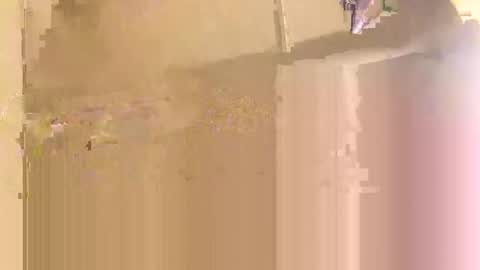 co23456 online show from 3, 12, 2025